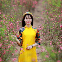 Giáo án Tin học 8: Học vẽ hình với phần mềm Geogebra (Tiếp theo)