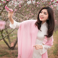 Giáo án Tin học 8: Bài tập (bài 7)