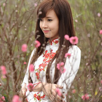 Soạn Văn 8: Tổng kết phần văn (tiếp theo)