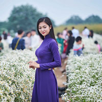 Giáo án Tin học 8 bài 8: Lặp với số lần chưa biết trước (Tiết 1)