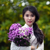 Giáo án Tin học 8: Bài tâp (bài 8)