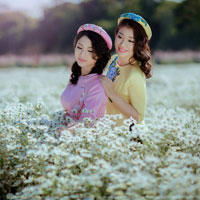 Giáo án Tin học 8: Bài tập thực hành