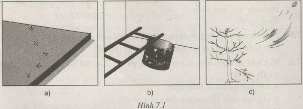 Giải bài tập SBT Vật lý lớp 6 bài 7: Tìm hiểu kết quả tác dụng của lực
