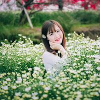 Giáo án Tin học 8 bài 9: Làm việc với dãy số (Tiết 1)