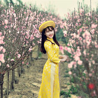 Giáo án Tin học 8: Bài tập (bài 9)