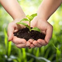 Viết thư Quốc tế UPU lần thứ 47: Bài mẫu về vấn đề môi trường