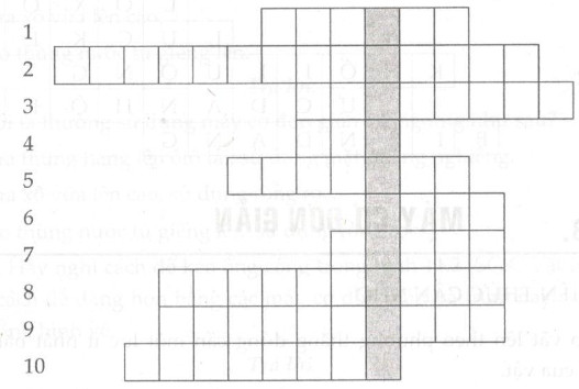 Giải bài tập SBT Vật lý lớp 6 bài 11: Khối lượng riêng - Trọng lượng riêng