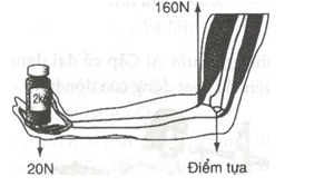 Giải bài tập SBT Vật lý lớp 6 bài 15: Đòn bẩy