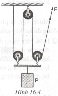 Giải bài tập SBT Vật lý lớp 6 bài 16: Ròng rọc