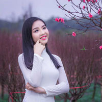 Giáo án Tin học 8: Bài thực hành 7: Xử lí dãy số trong chương trình (Tiết 2)