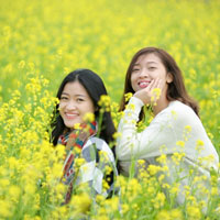 Giáo án Tin học 8: Bài thực hành 7: Xử lí dãy số trong chương trình (Tiết 3)