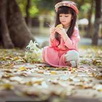 Giáo án Tin học 8: Ôn tập