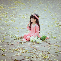 Giáo án Tin học 8: Ôn tập học kì 2