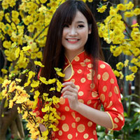 Soạn văn 10 bài: Lập dàn ý bài văn nghị luận