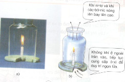 Giải bài tập Khoa học lớp 4