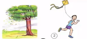 Giải bài tập Khoa học lớp 4