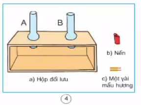 Giải bài tập Khoa học lớp 4