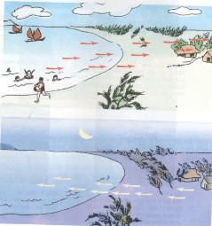 Giải bài tập Khoa học lớp 4