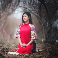 Giáo án Tin học 9: Bài thực hành 2: Tìm kiếm thông tin trên internet (Tiết 1)