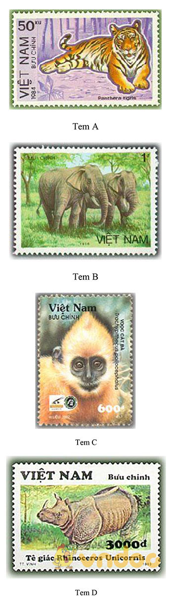 Câu hỏi cuộc thi sưu tập và tìm hiểu tem Bưu chính năm 2018