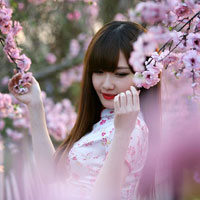 Giáo án Tin học 9 bài 7: Phần mềm trình chiếu (Tiếp theo)