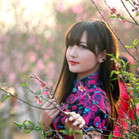 Giáo án Tin học 9 bài 8: Bài trình chiếu