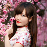 Giáo án Tin học 9 bài 8: Bài trình chiếu (Tiếp theo)