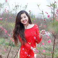 Giáo án Tin học 9 bài 9: Màu sắc trên trang chiếu