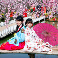 Giáo án Tin học 9 bài 9: Màu sắc trên trang chiếu (Tiếp theo)