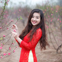 Giáo án Tin học 9: Bài thực hành 5: Bài trình chiếu đầu tiên của em (Tiếp theo)