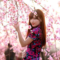 Giáo án Tin học 9: Bài kiểm tra 1 tiết (số 2)