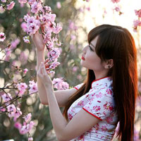 Giáo án Tin học 9: Bài kiểm tra học kì 1 (Tiết 1)