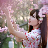 Giáo án Tin học 9: Ôn tập học kì 1