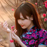 Giáo án Tin học 9: Ôn tập học kì 1 (Tiếp theo)