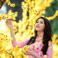 Giáo án Tin học 9 bài 10: Thêm hình ảnh vào trang chiếu (Tiếp theo)