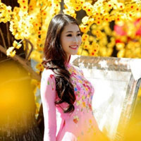 Giáo án Tin học 9: Bài thực hành 7: Trình bày thông tin bằng hình ảnh (Tiết 1)