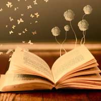 Vở bài tập Toán lớp 4 bài 113 Luyện tập chung