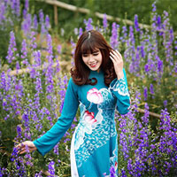 Giáo án Tin học 9 bài 13: Thông tin đa phương tiện