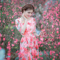 Giáo án Tin học 9 bài 13: Thông tin đa phương tiện (Tiếp theo)