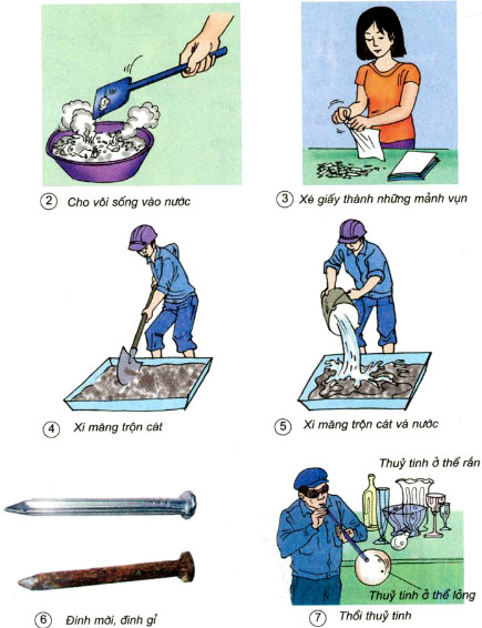 Giải bài tập Khoa học 5