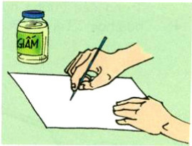 Giải bài tập Khoa học 5