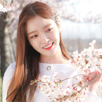 Giáo án Tiếng Anh lớp 3 Unit 11: This is my family - Lesson 5