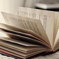 Luyện từ và câu lớp 2: Mở rộng vốn từ: Từ ngữ về chim chóc