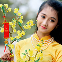 Soạn Văn 9: Viết bài tập làm văn số 3 - Văn tự sự