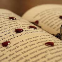 Vở bài tập Toán lớp 5 bài 118: Giới thiệu hình trụ, giới thiệu hình cầu