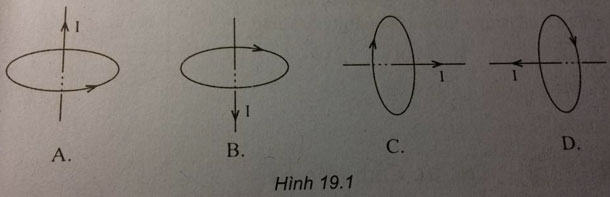 Vật lý 11 bài 19