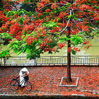 Đề thi minh họa THPT Quốc Gia 2018 môn tiếng Pháp