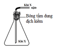 Đề thi minh học môn hóa