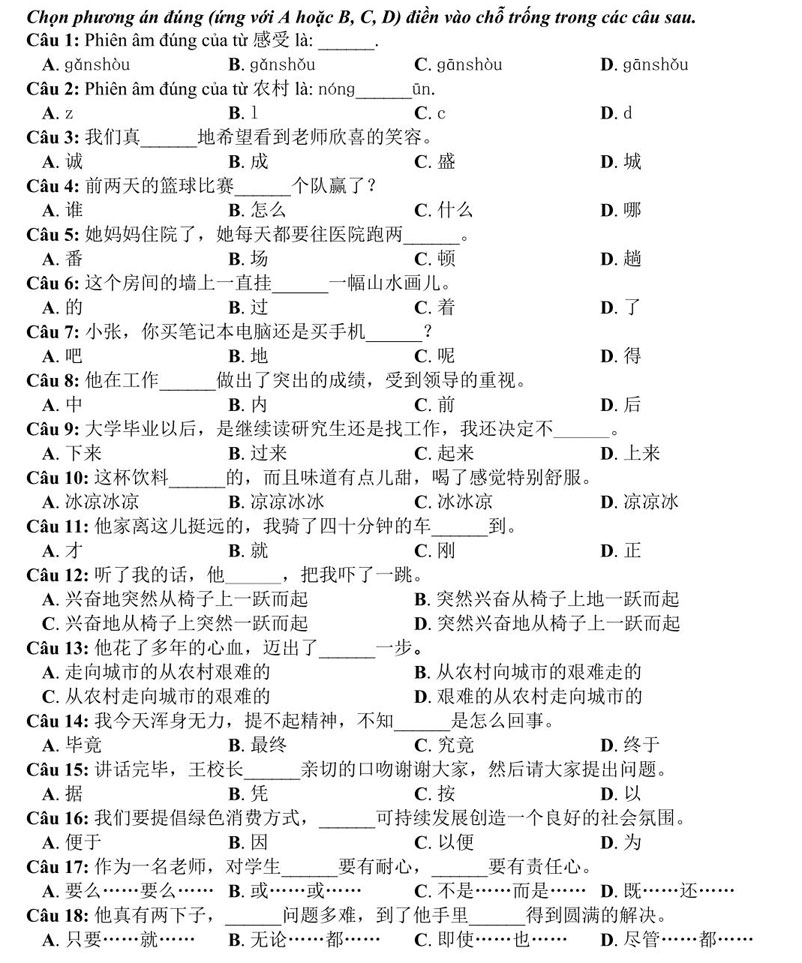 Đề thi minh họa THPT