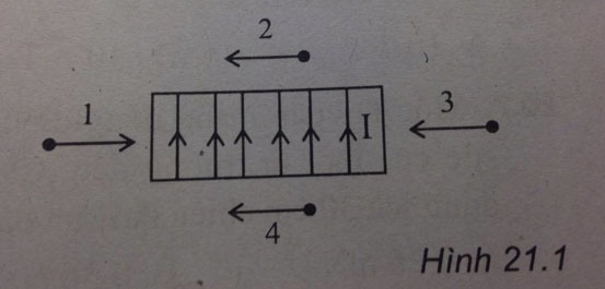 Vật lý 11 bài 21